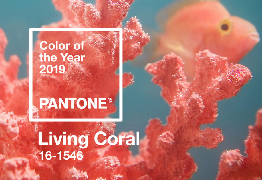 living coral wesele
